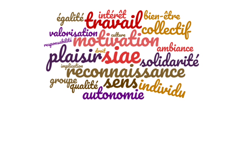 nuage de mots: Emploi, ESS, SIAE, IAE, job, travail, valeurs, compétence, solidaire