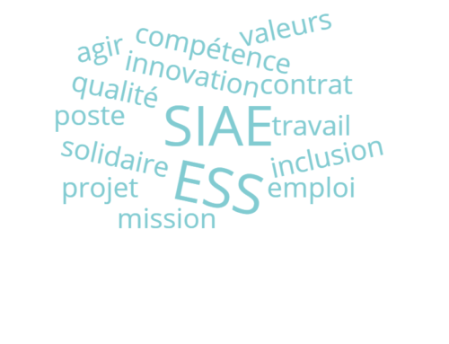Offre d’emploi: Conseiller-e insertion professionelle-CIP