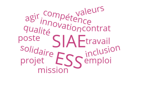 Offre d’emploi: directeur-trice