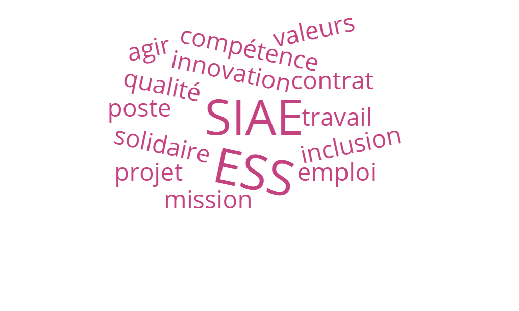 nuage de mots: Emploi, ESS, SIAE, IAE, job, travail, valeurs, compétence, solidaire