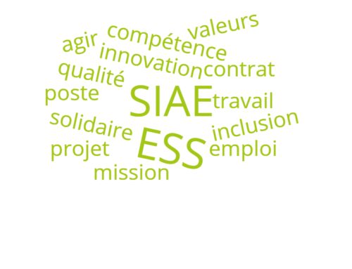 Offre d’emploi: CIP