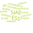 nuage de mots: Emploi, ESS, SIAE, IAE, job, travail, valeurs, compétence, solidaire