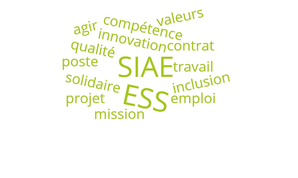 nuage de mots: Emploi, ESS, SIAE, IAE, job, travail, valeurs, compétence, solidaire