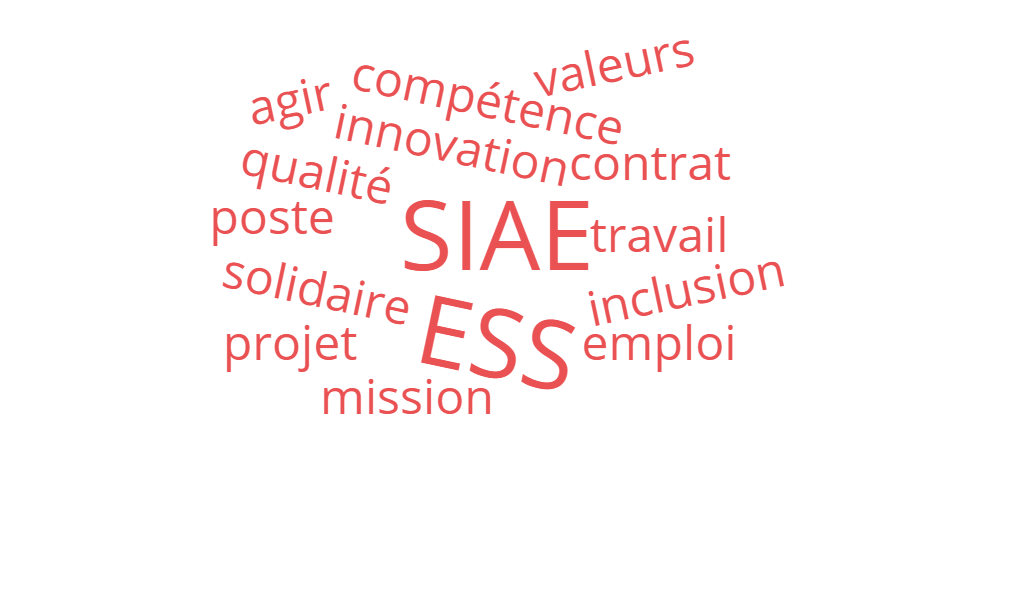 nuage de mots: Emploi, ESS, SIAE, IAE, job, travail, valeurs, compétence, solidaire