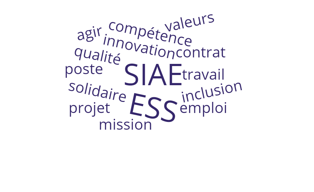 nuage de mots: Emploi, ESS, SIAE, IAE, job, travail, valeurs, compétence, solidaire