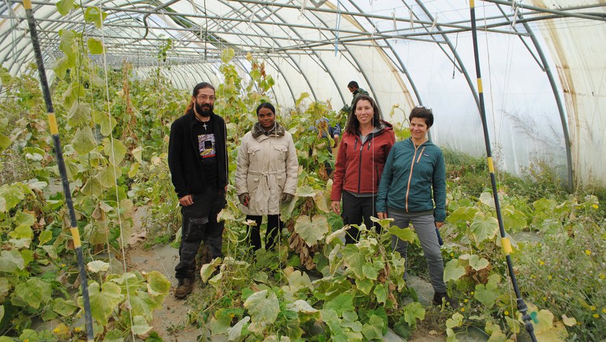 salariés SIAE ACI Jardin Chayran Millau 12