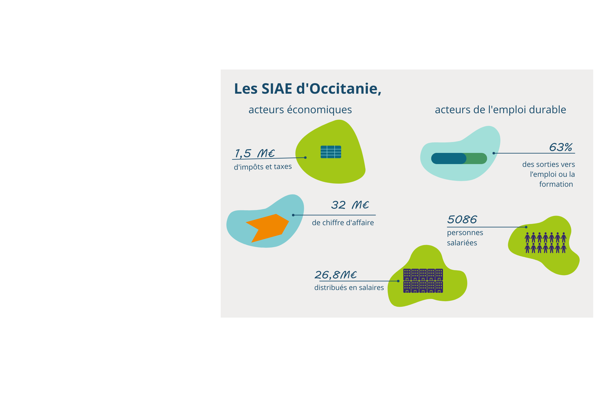 Coorace SIAE Occitanie 2021 données