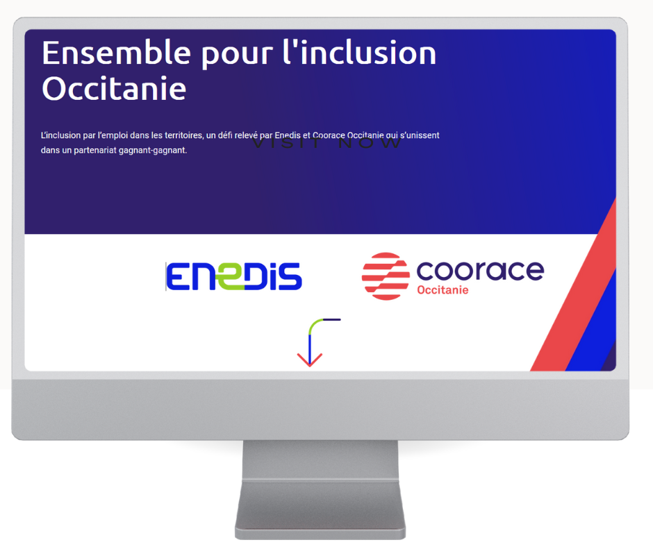 écran d'ordinateur affichant lapage d'accueil du site internet Ensemble pour l'inclusion en Occitanie, dans des dégradés de bleus et rouge