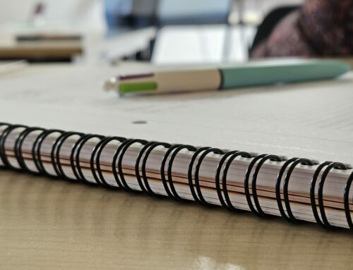 Actualités IAE 2026 en Occitanie